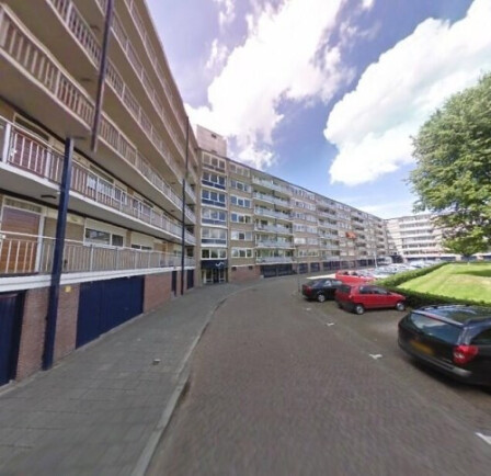 Kruiskampsingel