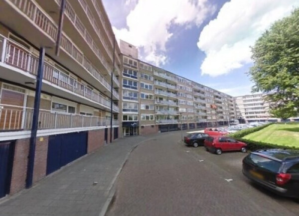 Kruiskampsingel