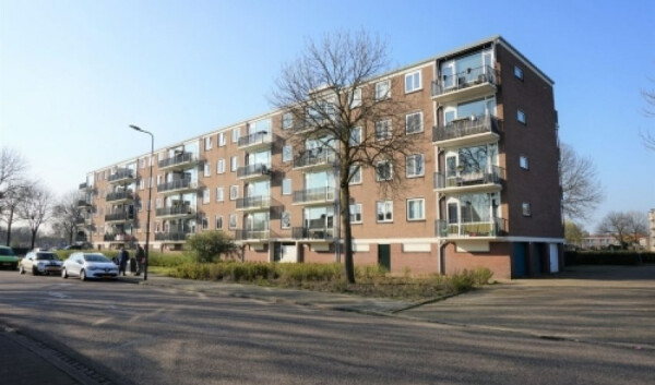 Maassingel